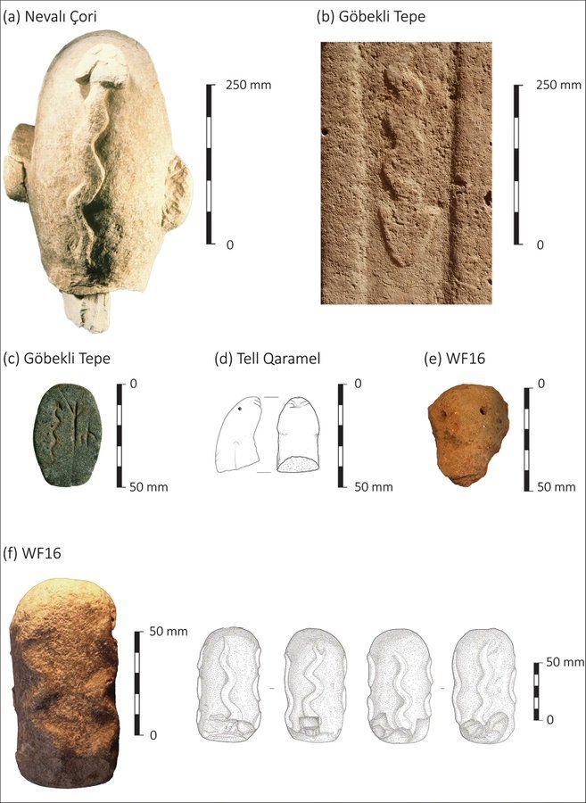 Depictions of snakes from across Early Neolithic south-west Asia, depicted in bas-relief and incised 🐍 #ReliefWednesday The consistency in these depictions from Syria to Anatolia suggests that they were central to ideology in the region. 🆓 buff.ly/3PlFV69