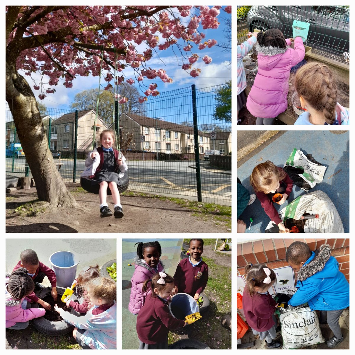 Little Heaton CE Primary School tweet media