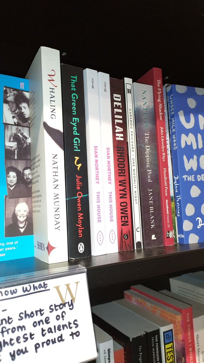 Just sent to me by my fellow Welsh > English translator @emyrwallace This House spotted in the wild in Cardiff @Waterstones. Diolch Emyr! @siannorthey @3TimesRebel #amtranslating #translation