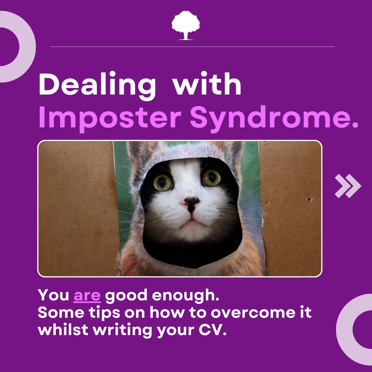 Dealing with Imposter Syndrome when writing your CV.

linkedin.com/posts/purplecv…

#ImposterSyndrome #CVAdvice #PurpleCV