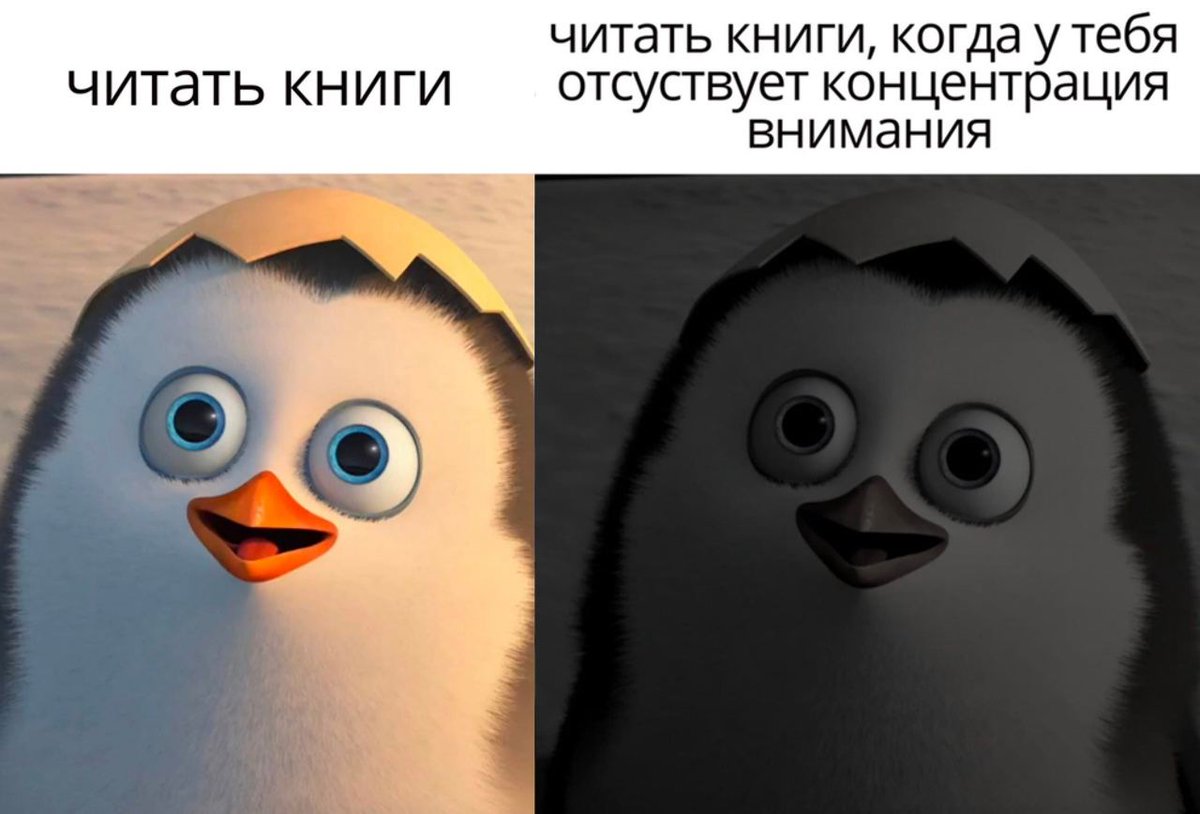 Дантес (@dantesdmitriy) on Twitter photo 