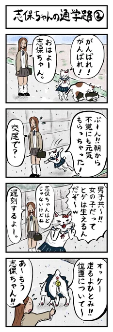 4コマ追加😻😻(No.62)
「志保ちゃんの通学路2」
#4コマ漫画 