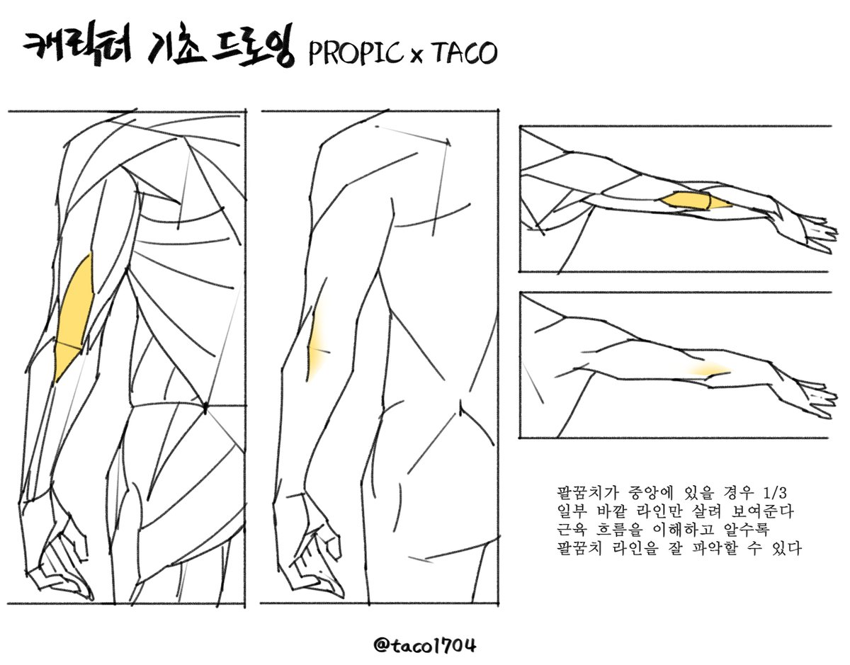 팔꿈치가 중앙에 있을 경우 1/3 지점 일부 라인만 선을 그어 보여준다