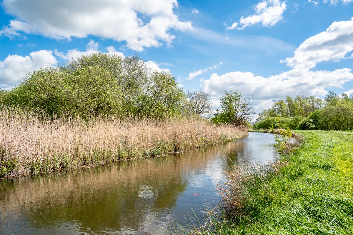 Some more shots from Wicken Fen this morning, cloudy with some nice sunshine..... @WeatherAisling @ChrisPage90 @FascinatingFens @Fen_SCENE @ElyIslandPie