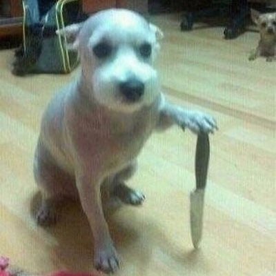 wdym there's no music show and the only promotion they did was fansign?!!