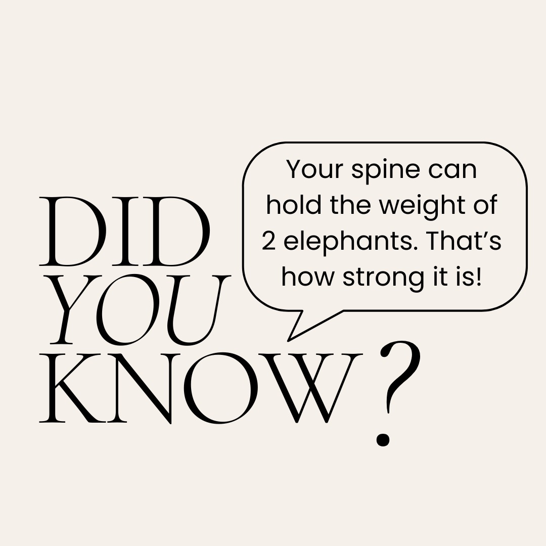 #spinewellness #wearespine