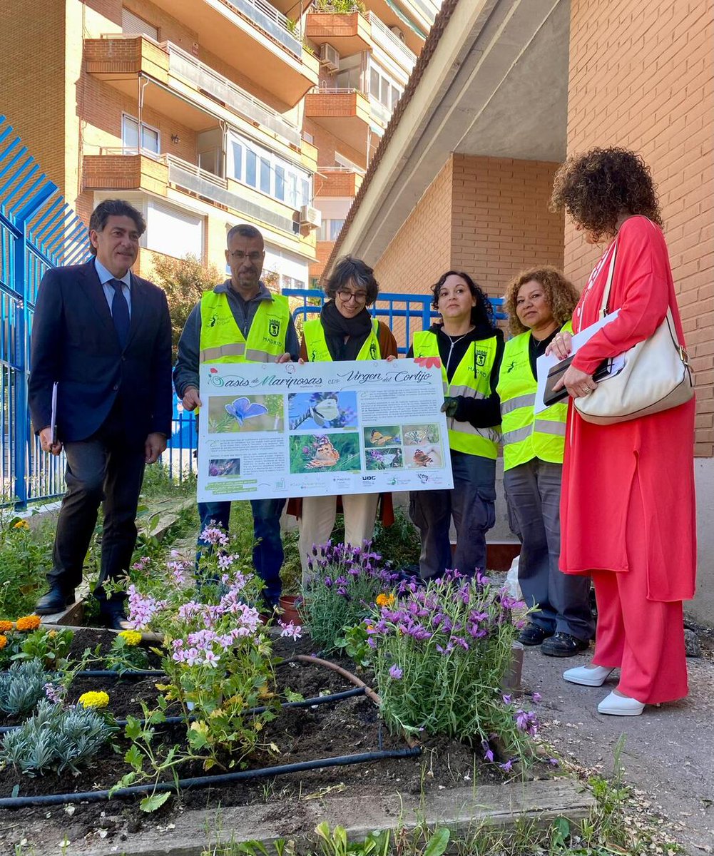 JMDHortaleza's tweet photo. 📢Los alumnos del colegio Virgen del Cortijo ya disfrutan de una nueva zona verde en el patio gracias a la Unidad Distrital de Colaboración de #Hortaleza.

✅Gestionada por la @AsocElOlivar, la #UDC realiza actuaciones de jardinería y dinamización para mejorar el distrito. https://t.co/Mp0j6qQI8f