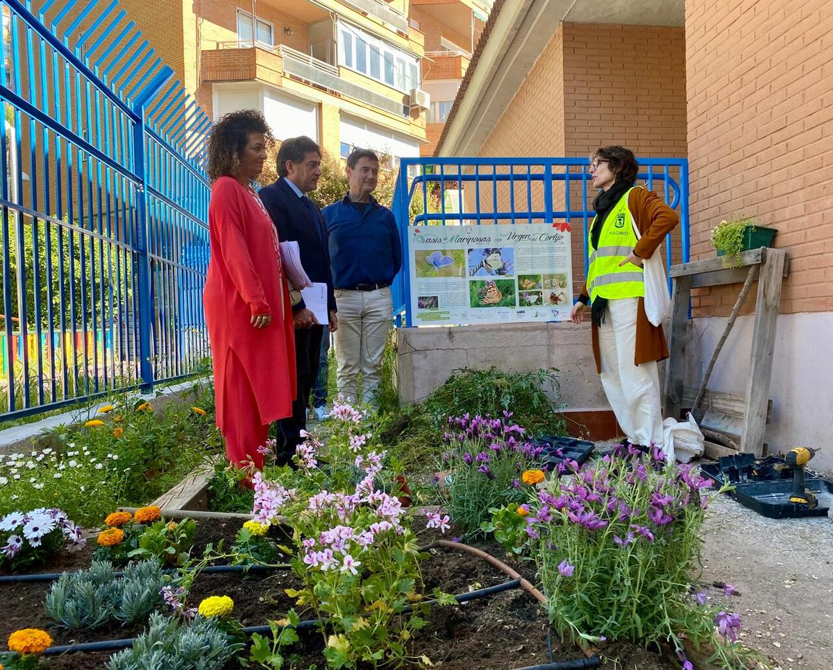 JMDHortaleza's tweet photo. 📢Los alumnos del colegio Virgen del Cortijo ya disfrutan de una nueva zona verde en el patio gracias a la Unidad Distrital de Colaboración de #Hortaleza.

✅Gestionada por la @AsocElOlivar, la #UDC realiza actuaciones de jardinería y dinamización para mejorar el distrito. https://t.co/Mp0j6qQI8f