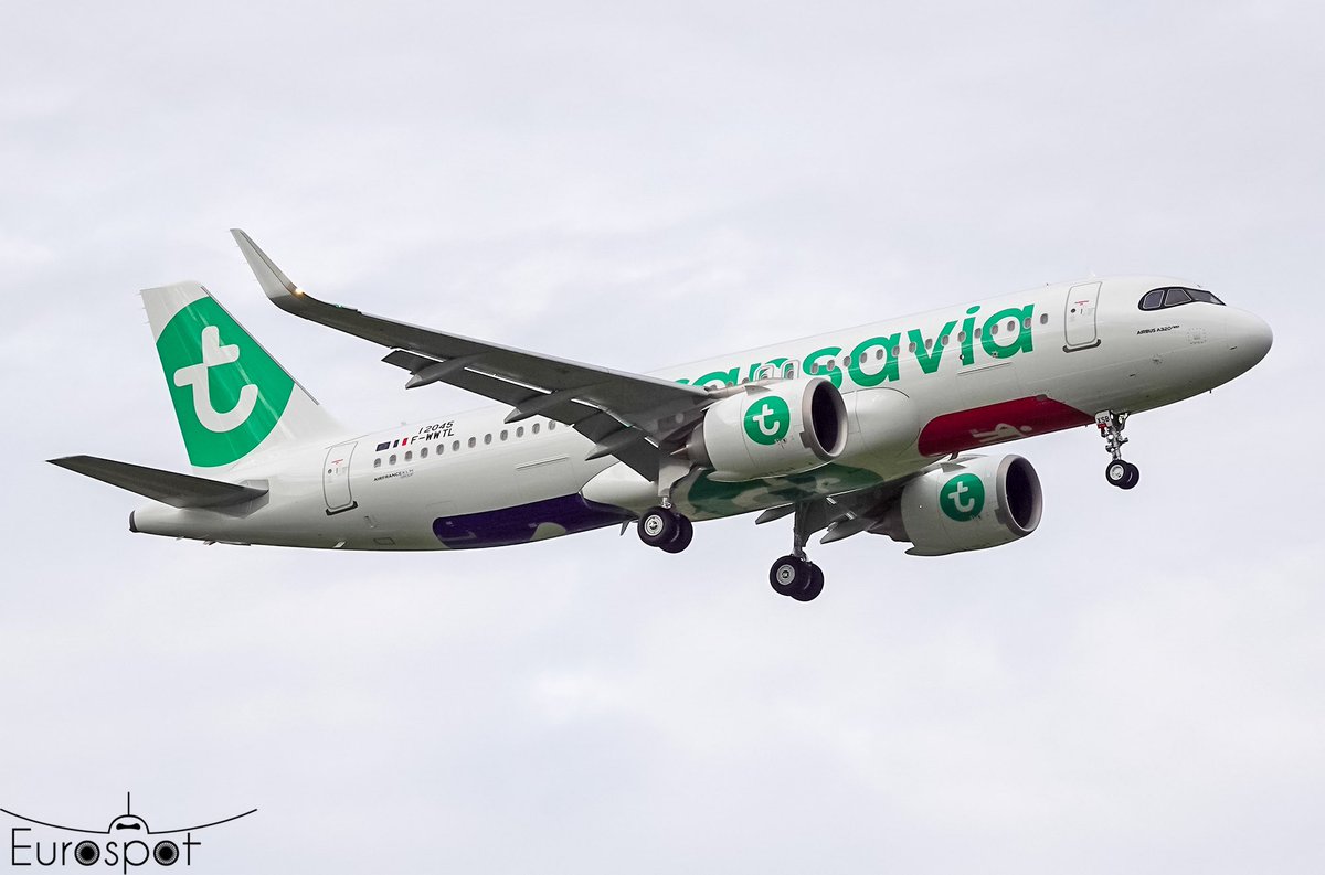 Aujourd’hui Transavia met en service son deuxième A320neo à destination de Chania en Grèce ! 😍

Alors que le troisième A320neo arrivera fin du mois à Paris Orly Transavia France se prépare actuellement à envoyer son deuxième exemplaire au dessus de l’Europe et mode vert ! 🍀