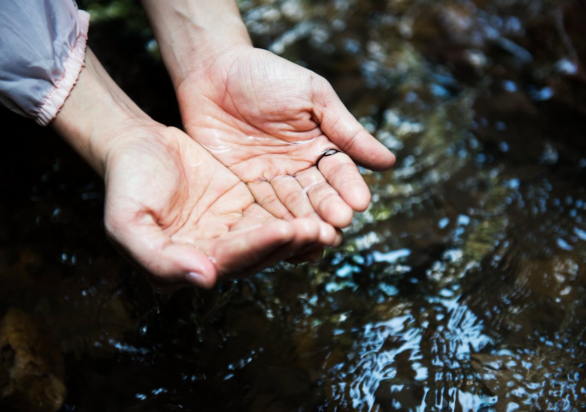 🚨 A #auga é un ben escaso, evita un gasto innecesario:   

💧 Instalando aireadores nas billas.  
🚿 Dúchate en lugar de bañarte.  
🕵️‍♂️ Revisa fugas en billas e bombas de auga.      Máis consellos.

➡️ viaqua.gal/gl/consellos-c…
