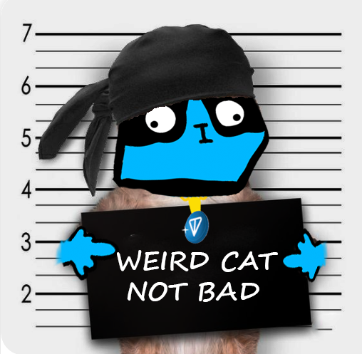 Weird Cat tweet media