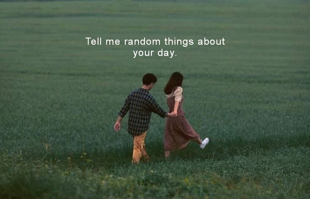 Novelle art. tweet media