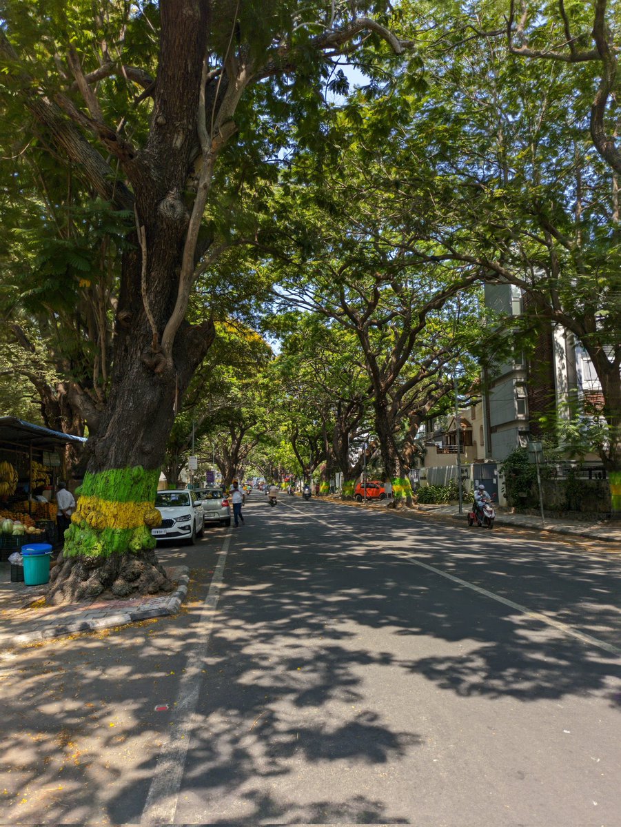 Few roads of Chennai are 😍 Post 4, 📍Adyar-Beasant Avenue Rd 📸 @arvind_gr