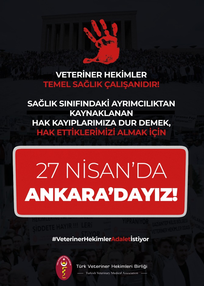 Dr.Veteriner Hekim Fulya Taşangil (@meskmico) on Twitter photo 