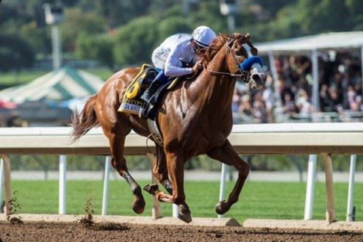 California Board Staunchly Denies Staying #Justify's Disqualification at #SantaAnita

thepurehorses.com/california-boa…