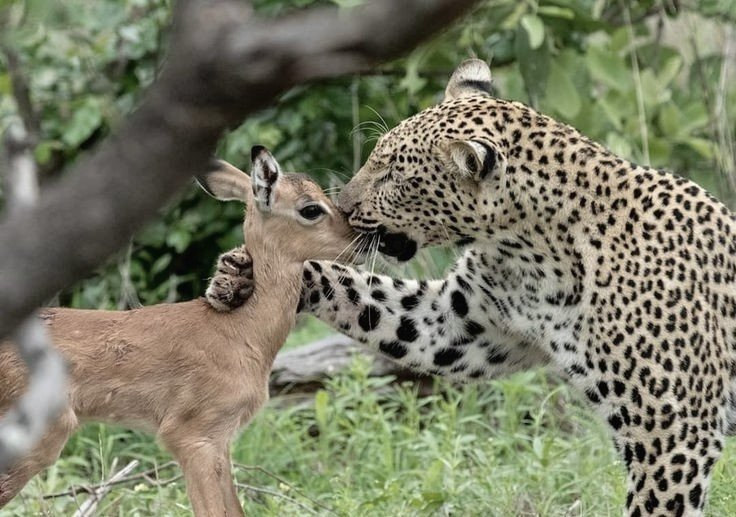 hîv. (@sorrrowfull) on Twitter photo 