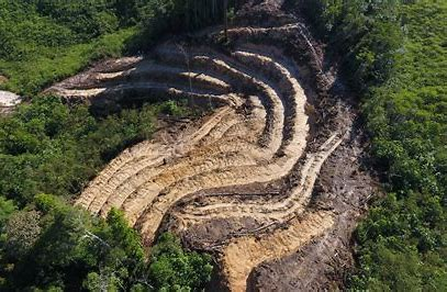 @CaringDoctors Ja, en dat we dan op de Molukken en Sulawesi met hun schitterende  unieke, unieke flora en fauna en in vele, vele andere landen op de wereld de natuur finaal gaan ruineren omdat in mijnen als deze nikkel moet worden gewonnen voor batterijen voor de 'groene' energietransitie.🤡