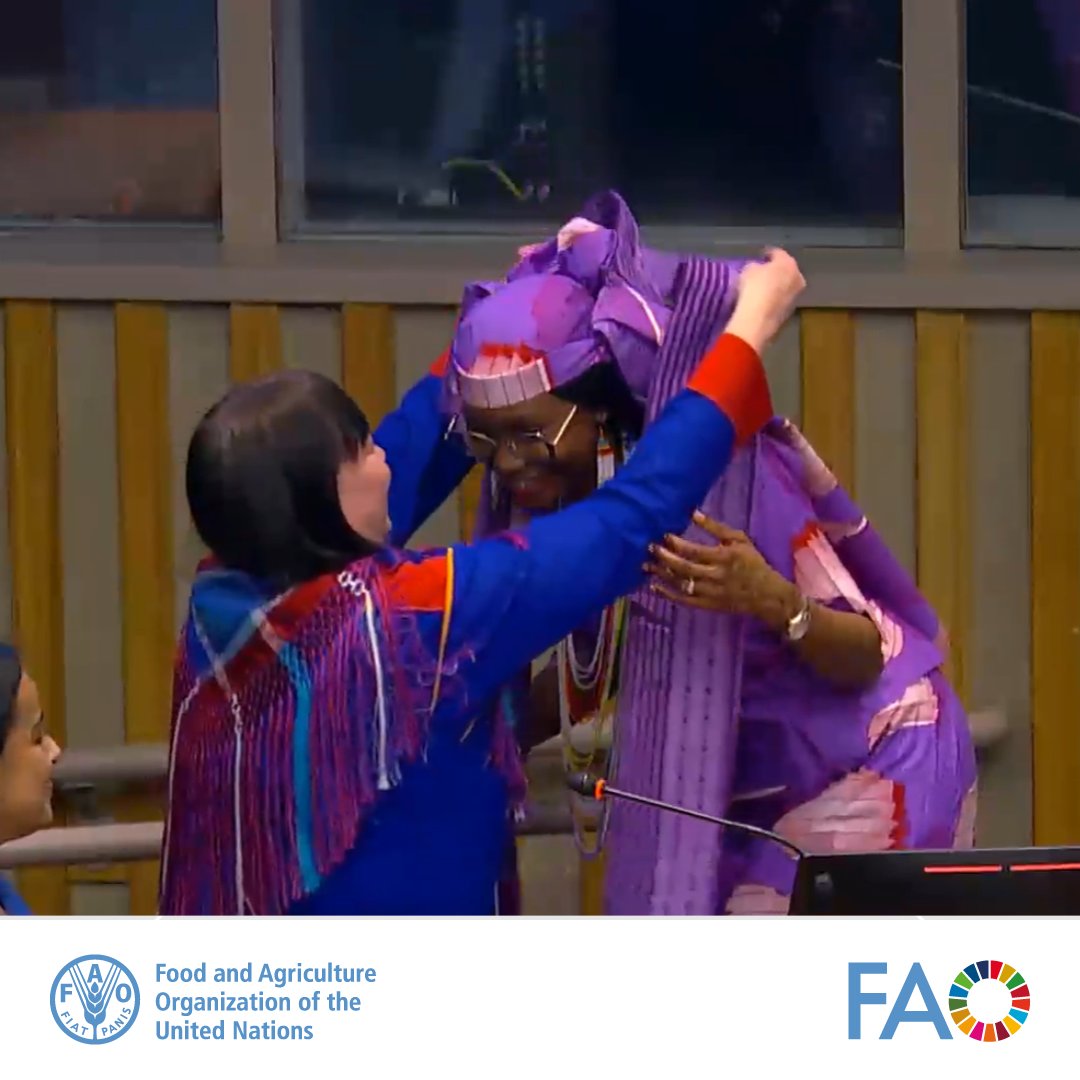 In 2017 FAO started a campaign in support of including Indigenous Women in policy discussions. As a symbol, FAO handed a violet shawl to the Chair of the #UNPFII. Ever since it has been passed on from one Chair to the next. Last Monday, @hindououmar received it from @DMejia20.