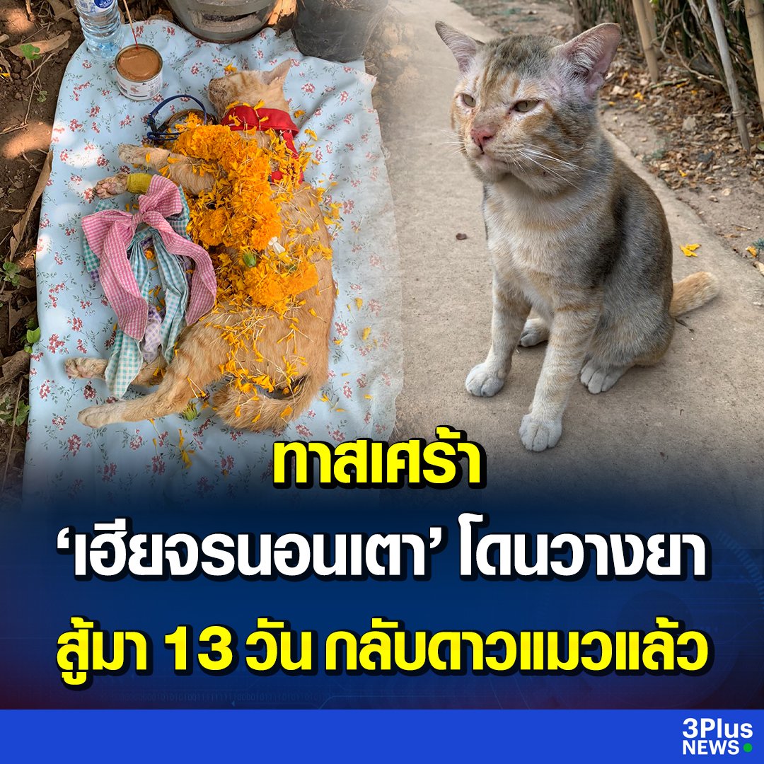 ห๊ะ...ติดตามดูน้องทุกคลิปเลย ทำไมโลกนี้ใจร้ายกับน้องจัง🥺😭