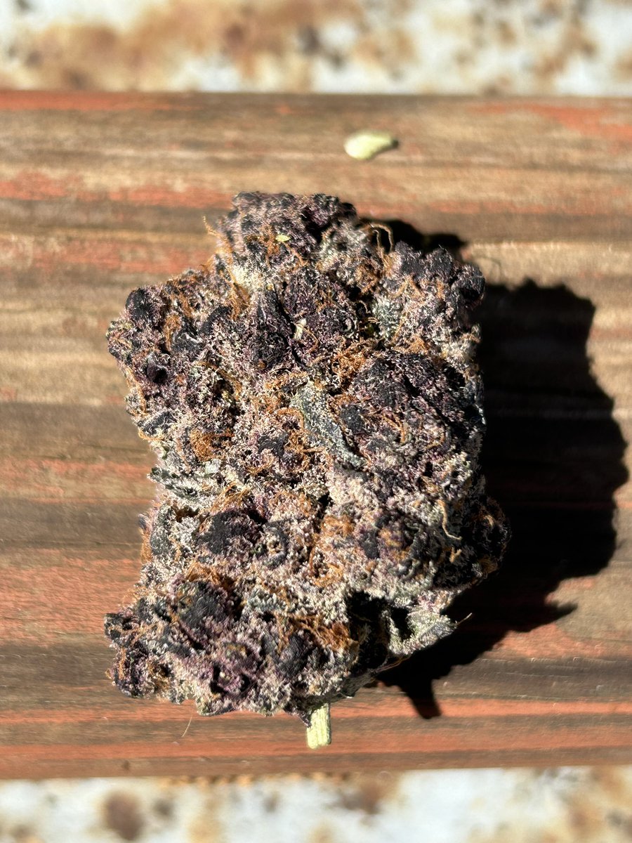 JKmichael420's tweet photo. @JKDistroCali Purple label Cali forbidden fruit๐ https://t.co/5NrlYc2SWf
#jkdistro #jkeclipse #elevatedconsumption #Mmemberville #photograghy #420fam https://t.co/263mT0jNAC