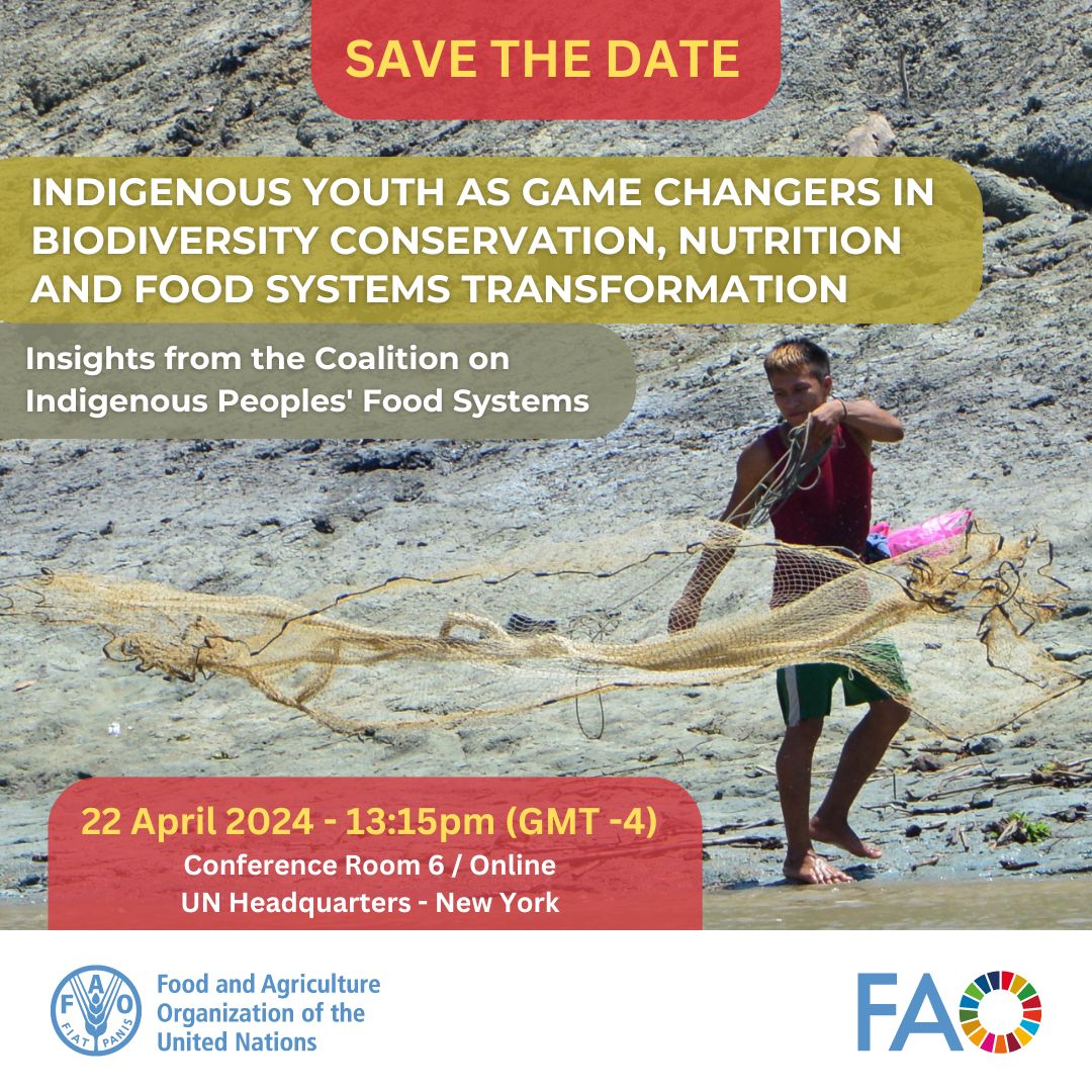 Join FAO's Side Event on the Coalition on Indigenous Peoples' food systems at the #UNPFII. 🗓️Monday 22 April 2024 ⏰13:15pm (GMT-4) 📍Conference Room 6, UN Headquarters, NY 🌎Follow the event online at: bit.ly/4b1uiKN #WeAreIndigenous