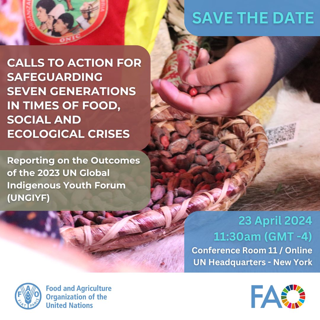 Join FAO's Side Event on the Outcomes of the UN global Indigenous Youth Forum (UNGIYF) at the #UNPFII. 🗓️Tuesday 23 April 2024 ⏰11:30 am (GMT-4) 📍Conference Room 11, UN Headquarters, NY 🌎Follow the event online at: bit.ly/4cZZOuk #WeAreIndigenous #UNGIYF