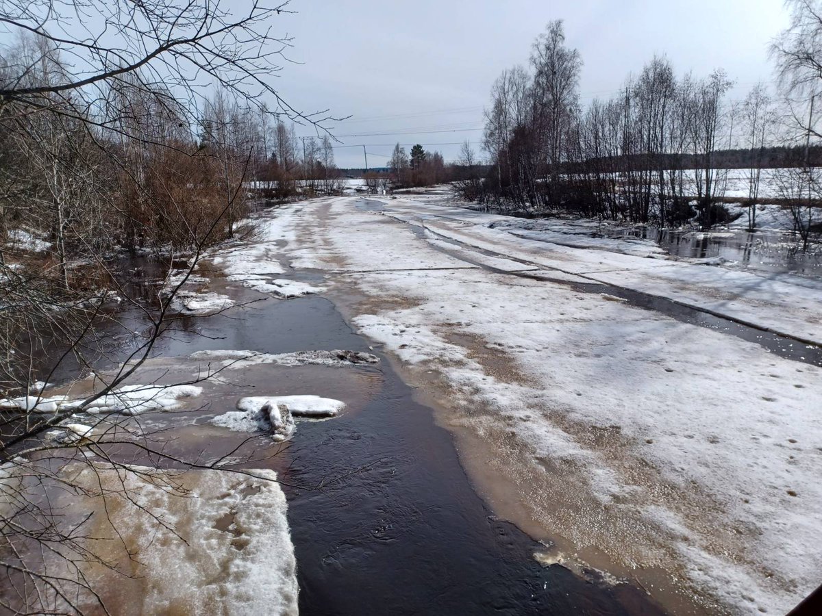 POPtulvat's tweet photo. Siikajokeen laskevassa Lamujoessa jäät paikoitellen ruuhkaantuneet, kun toisaalla on vielä lähes ehjää jääkantta. https://t.co/NXbCfk04dK