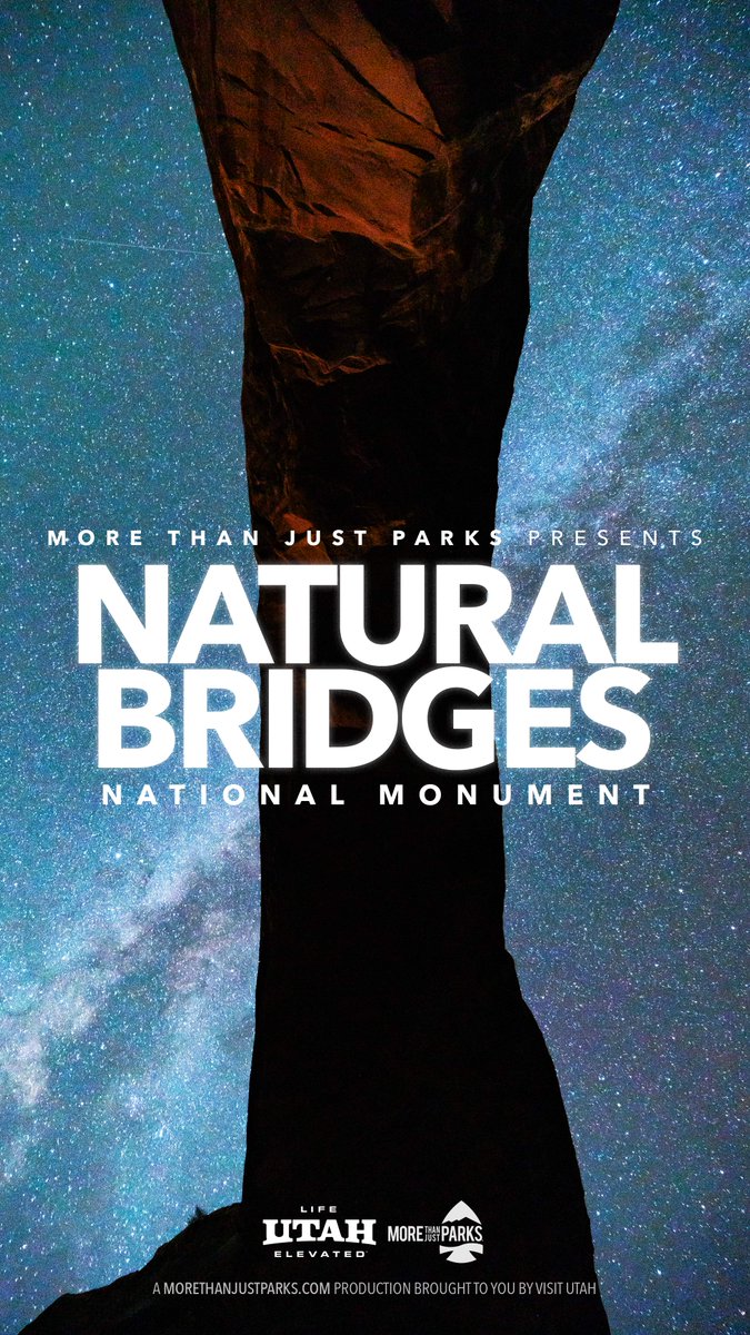 More Than Just Parks tweet media