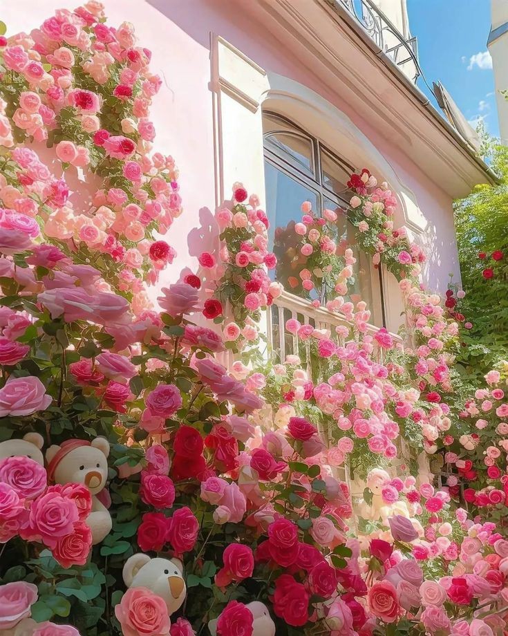 Beautiful roses.