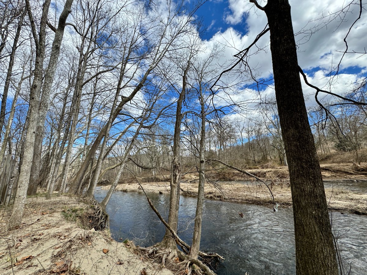 Trees awaiting the return of their foliage
#hiking #NewEngland