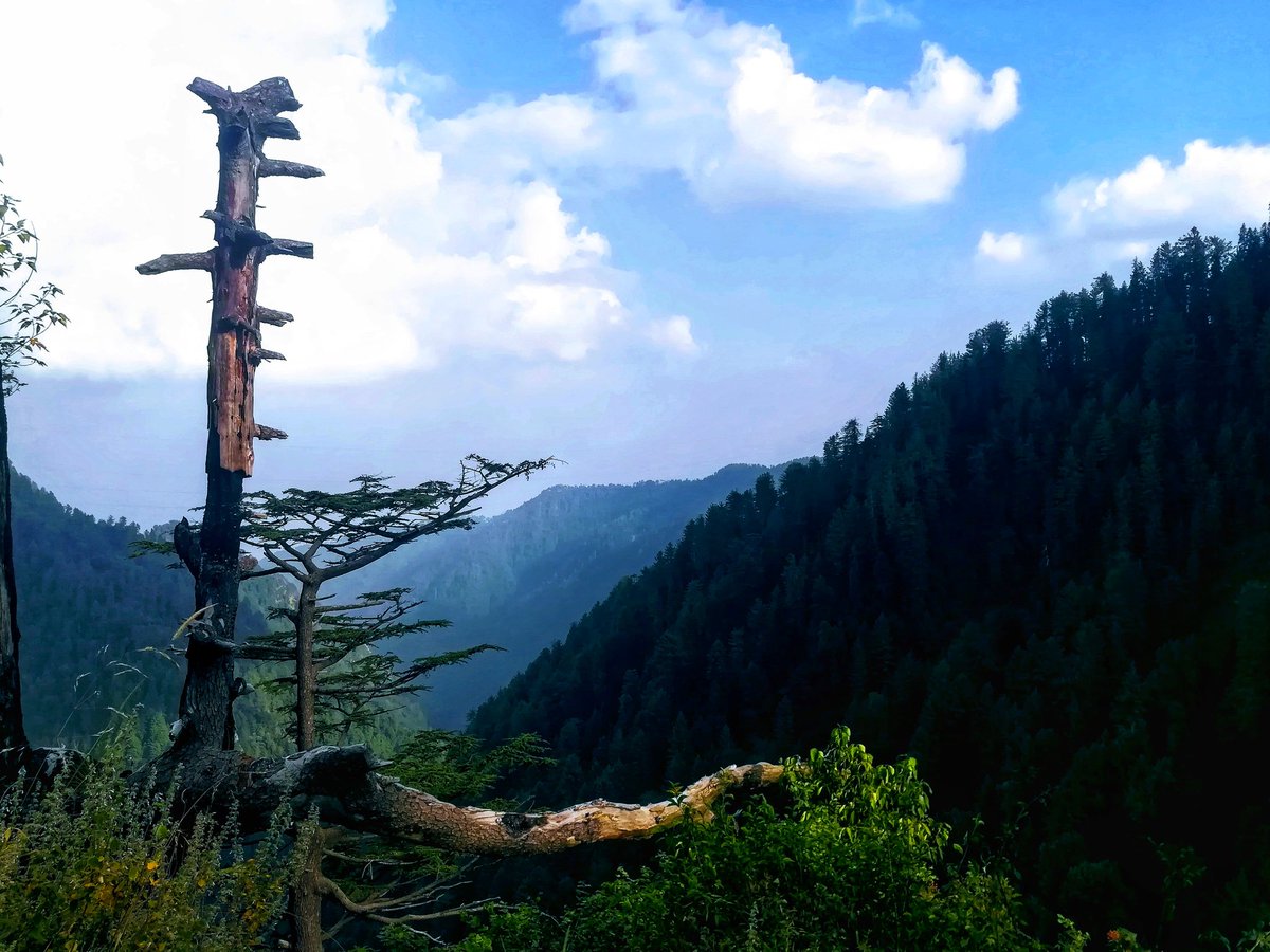 EcoVibeExplorer's tweet photo. Landscapes around Dunga Gali, Khyber Pakhtunkhwa, Pakistan.
#Pakistan #DestinationPakistan https://t.co/JNMfmzx7jX