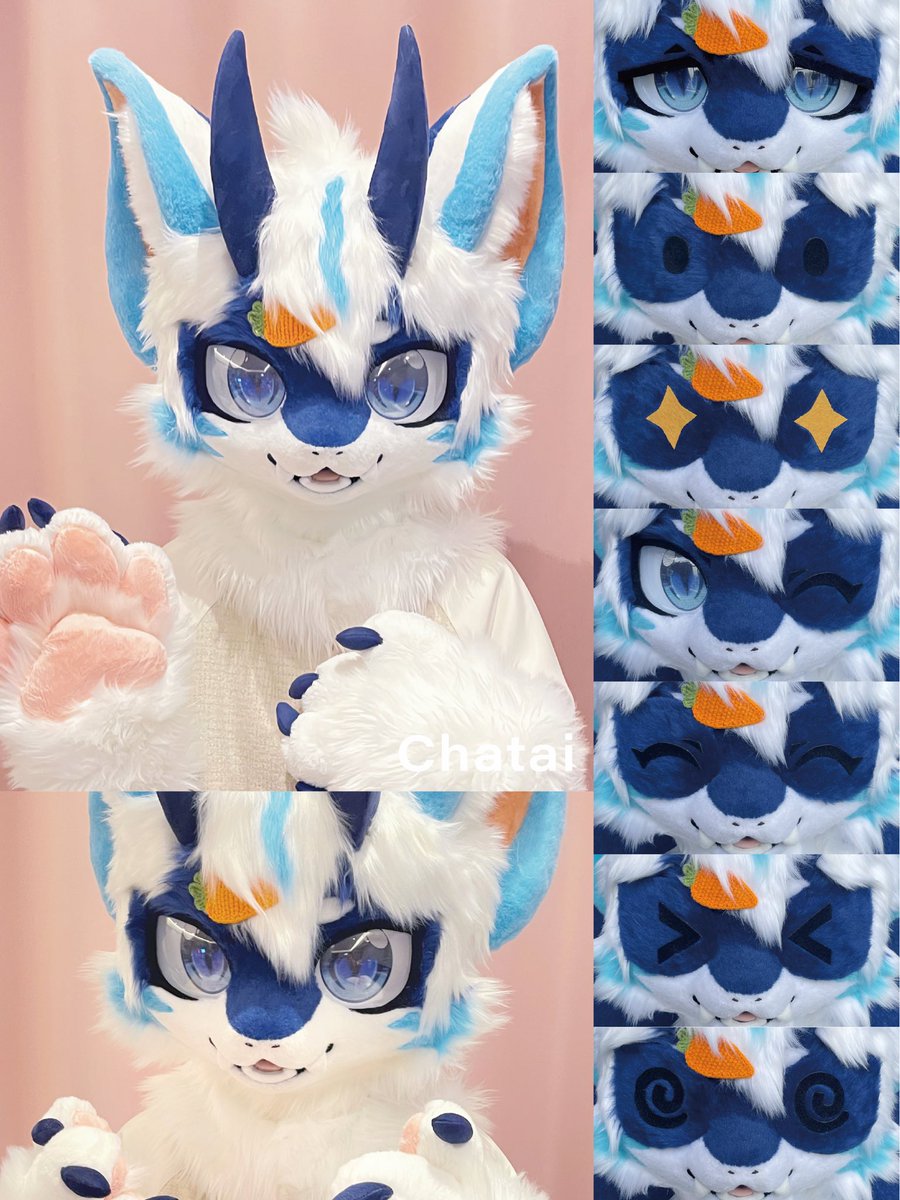 💙🩵Commission  finished🩵💙

The one with the most expressions made so far.😆😆😆

#fursuit #chatai #kemonosuit #fursuitmaker