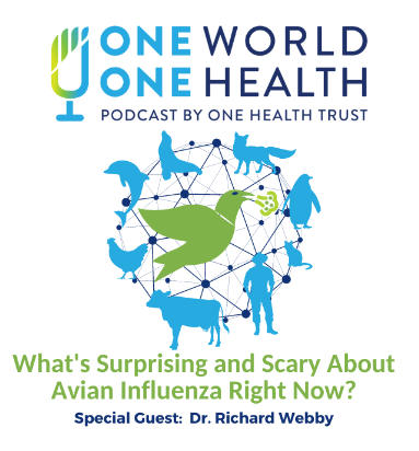 One Health - U of Guelph (@onehealthuofg) on Twitter photo In this One World One Health podcast by the One Health Trust, <a href="/maggiemfox/">Maggie Fox</a> chats with Dr. Richard Webby about the H5N1 strain of avian influenza; a disease that affects many wild birds but has spread to domestic poultry, dairy cattle, wildlife and people: tinyurl.com/3vjz2pv9 In this One World One Health podcast by the One Health Trust, <a href="/maggiemfox/">Maggie Fox</a> chats with Dr. Richard Webby about the H5N1 strain of avian influenza; a disease that affects many wild birds but has spread to domestic poultry, dairy cattle, wildlife and people: tinyurl.com/3vjz2pv9