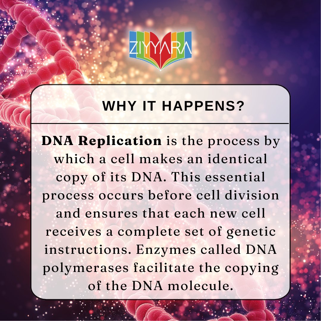 Cells can't hit 'copy-paste', but DNA replication does the trick!
.
.
For more interesting Facts, Tips and quizzes, connect with Ziyyara's official page
.
.
Enrol Here: ziyyara.com/online-tuition…
.
.
#ziyyara #onlinetuition #onlinetutoring #WhyItHappens #DNAReplication #CellDivision