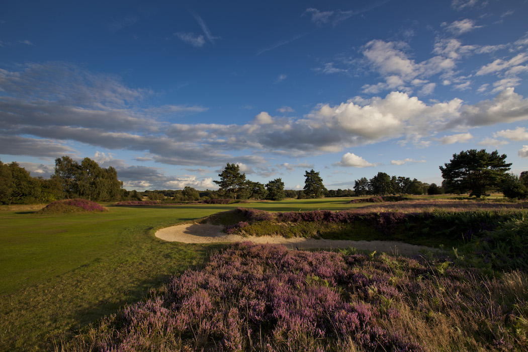 Assistant Greenkeeper - Walton Heath GC
bigga.org.uk/career/assista…