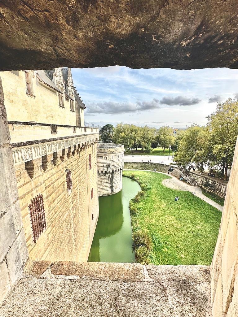 [cultura ] La città di Nantes con le Machines de l’Ile , installazioni nei cantieri navali della città . Da vedere Le Voyage a Nantes , un percorso di opere d’arte 🖼️contemporanea lungo l’estuario #ExploreFrance @visitnantes