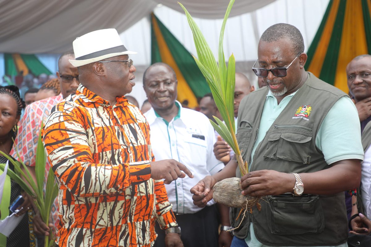 NATIONAL COCONUT WEEK LAUNCH. Agriculture CS Hon. Mithika Linturi today presided over the launch and distribution of coconut seedlings to farmers in the Coast region during the official opening of The National Coconut Week. This is a response by government to the reduced