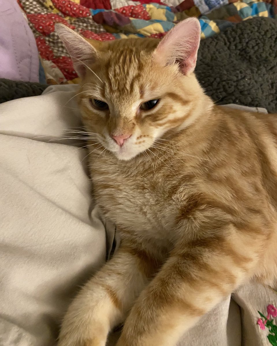 Shannon Minter tweet media