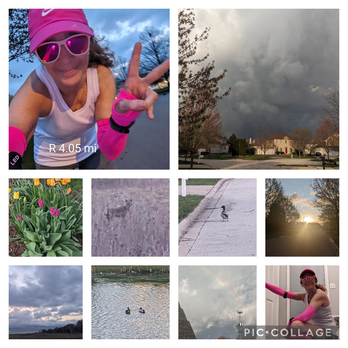 Multi weather day, cloudy, sunny, windy, rain. ..68F. Clouds & rainbow were so cool. Cisco was ten feet away when I got to the trail. Took a pic and backed away slowly. Run included short speed intervals. Felt good. Happy Pink Day. Enjoy your workouts. @runningpunks #goodr