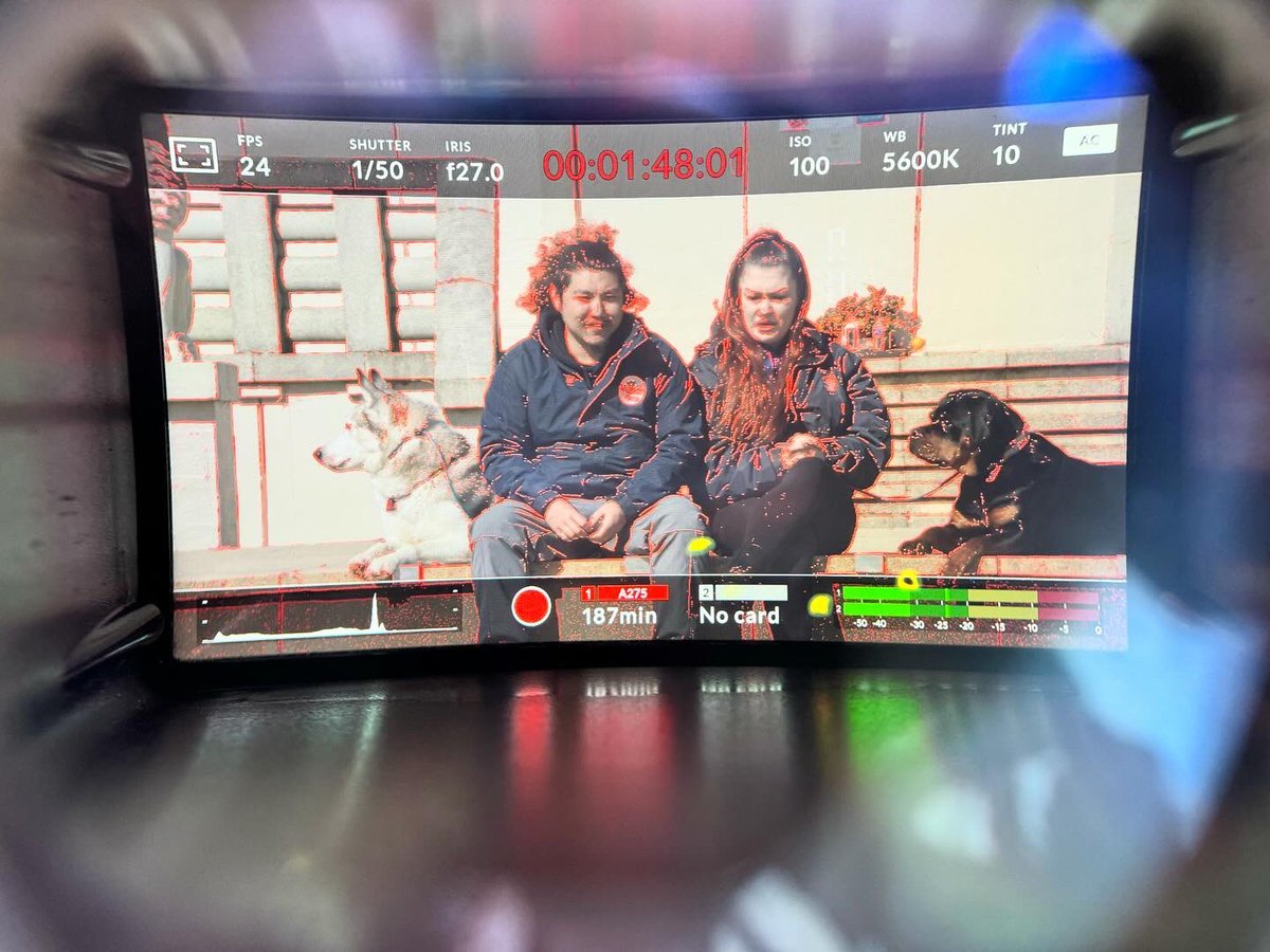 jasonimpey's tweet image. Good bit of filming done today for a few videos about dogs, now to get them edited up #trainingvideos #dogs #promovideos #videoproduction