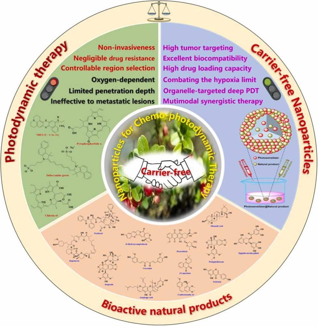 Amazing summary of current strategies and application examples of carrier-free noncovalent nanoparticles based on natural products for tumor therapy: doi.org/10.1016/j.phrs… #naturalproducts #nanoparticles #tumor #PharmacolRes #openaccess #Research #PharmaTwitter #MedTwitter