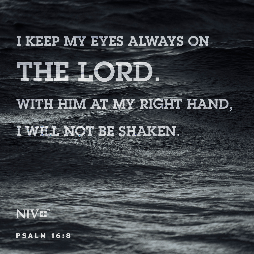 I keep my eyes always on the Lord. With him at my right hand, I will not be shaken. Psalm 16:8 #votd #niv #nivbible #verseoftheday