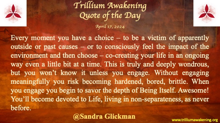 Trillium Awakening can help you awaken, transform your life, and find lasting wholeness. 

#consciousness #spirituality #mutuality #embodiment #awakening