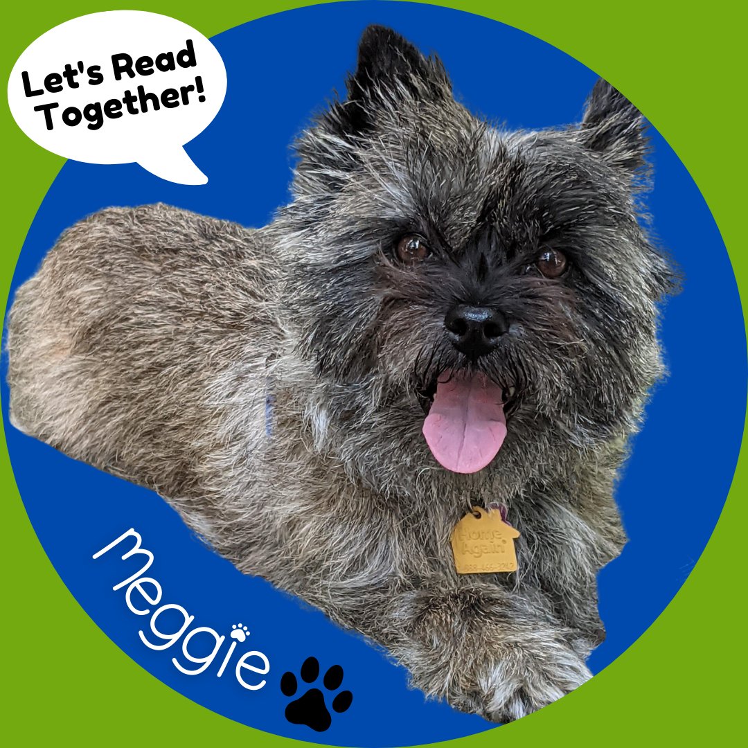 Meggie is back Thursday (4/18) from 4:30-5:30 p.m. Our #Paws4Reading partners are certified therapy dogs who are happy to sit and listen to any story your child wishes to read. Please call 518-584-7860, ext. 305 on the day of the program to reserve a 10-minute slot. #SSPL 🐾 📚