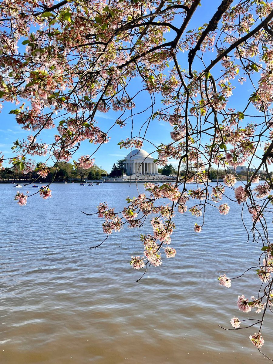 ahmetirice's tweet photo. When I was looking at photos today, I saw photos from a previous trip to Washington. I thought it had been a long time since I had been there. https://t.co/iNU7tC5VpT