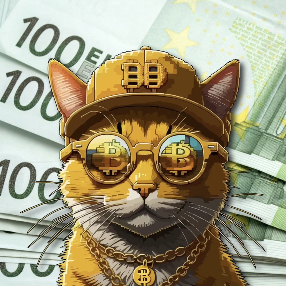 OP_C4T's tweet photo. @OfficialOpcat @Ethan_Heilman @cheezzebergers Got some incredible things lined up for this $OPCAT 👀 https://t.co/61I4M7qc4q
