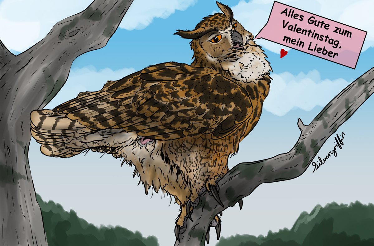 Sluttyferals's tweet photo. "Hoot?" https://t.co/YtJDgcn9hN