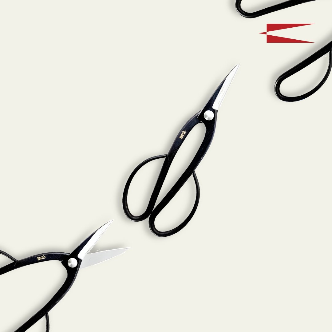 KNIFEtoronto's tweet image. Precision meets versatility: Meet our Kinboshi Bonsai Scissors, reimagined for finer tasks like delicate bone and fish butchery.
#KNIFE #PrecisionInPractice #PrecisionCraftsmanship