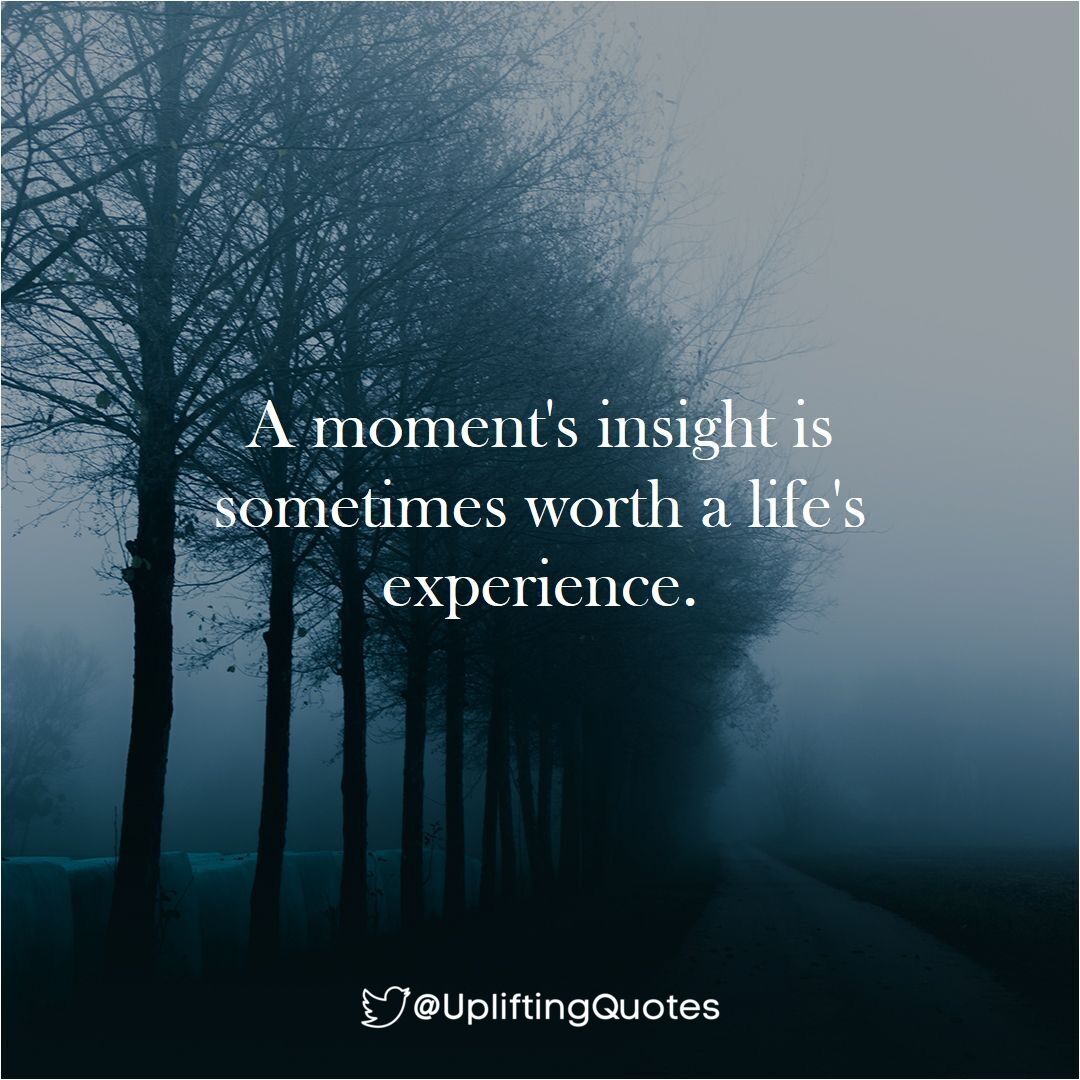 A moment's insight is sometimes worth a life's experience.