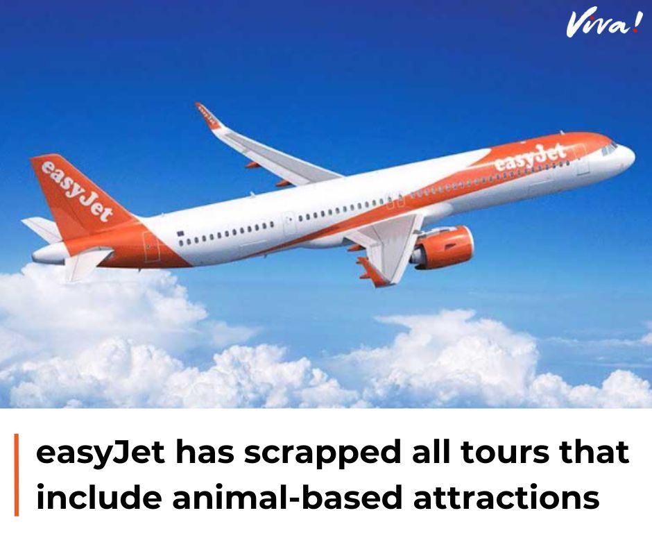 ALL tours to marine parks, zoos, animal performances, animal rides and sporting events involving animals have been scrapped by @easyJetholidays 🙌 A huge leap in the right direction, and we hope to see more holiday companies follow suit! 🐾💚 #easyjet